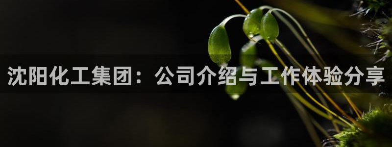 球盟会黑嘛