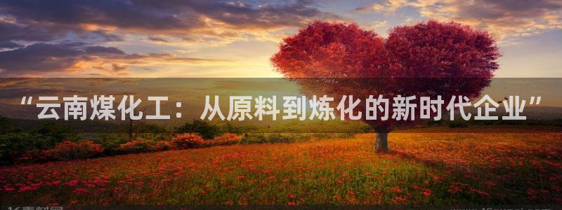 球盟会黑平台：“云南煤化工：从原料到炼化的新时代企业”
