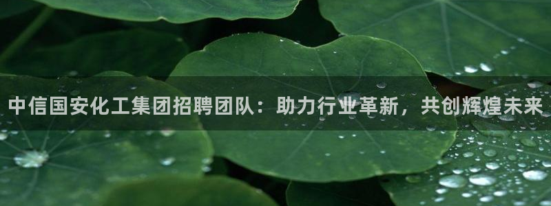 球盟会在线网站