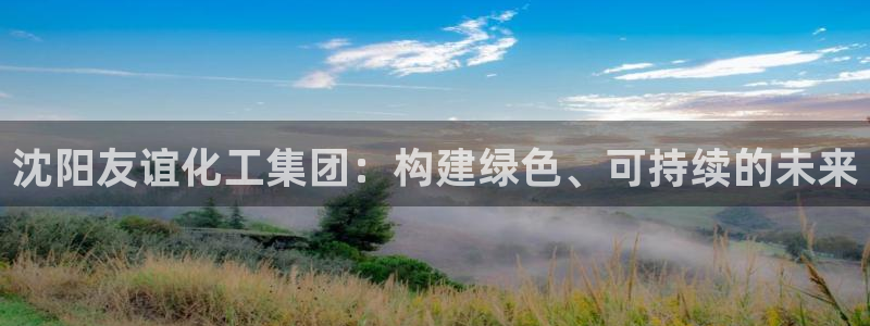 球盟会在线网站：沈阳友谊化工集团：构建绿色、可持续的未来