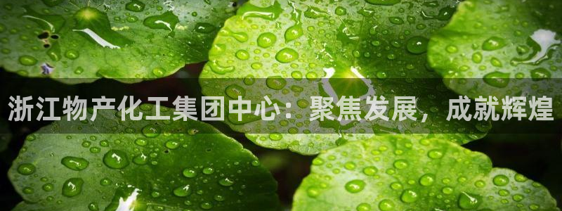 球盟会能提现吗：浙江物产化工集团中心：聚焦发展，成就辉煌