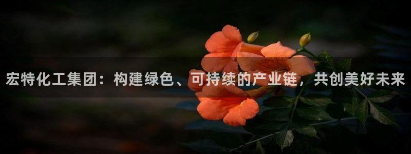 球盟会几点玩合适：宏特化工集团：构建绿色、可持续的产业链，共