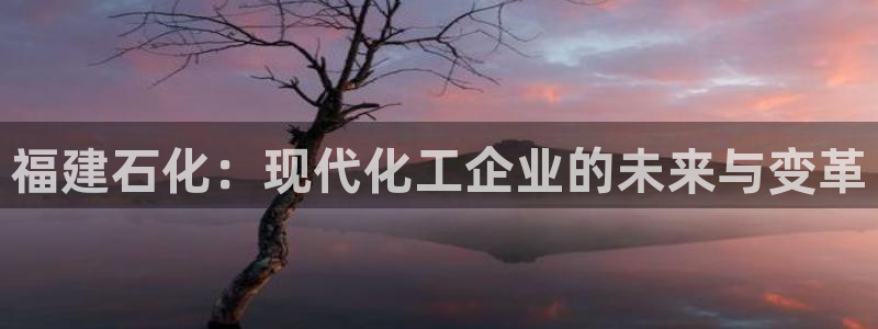 球盟会官网：福建石化：现代化工企业的未来与变革