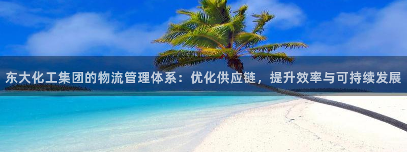 球盟会官方网页登录：东大化工集团的物流管理体系：优化供应链，