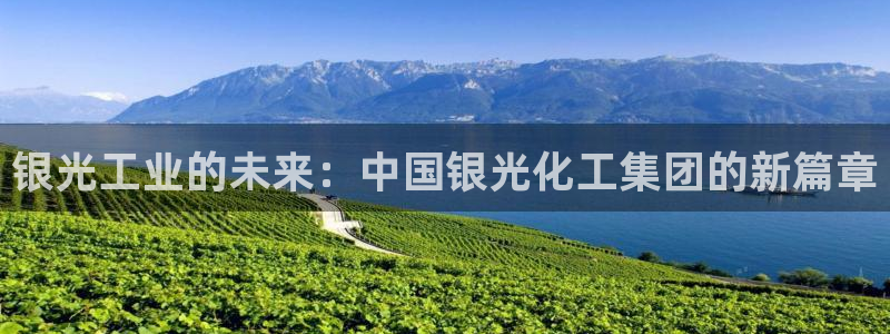 球盟会网页版：银光工业的未来：中国银光化