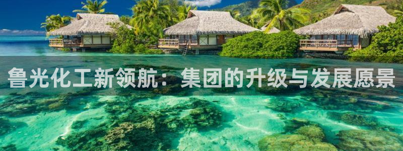 球盟会官网app下载：鲁光化工新领航：集