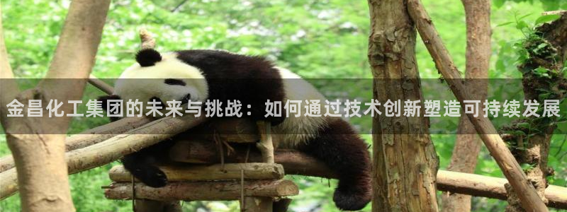 球盟会能提现吗：金昌化工集团的未来与挑战：如何通过技术创新塑