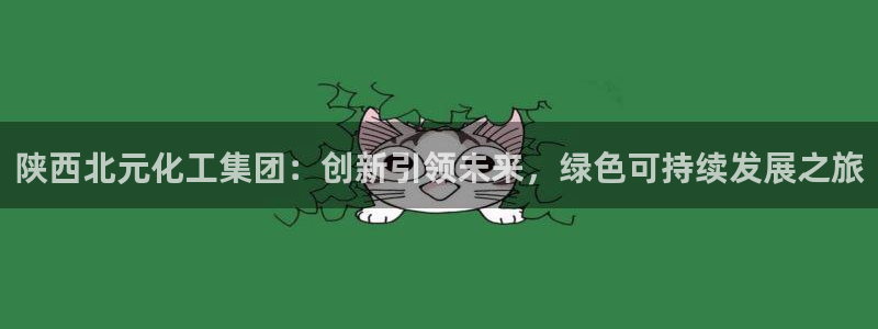 球盟会有没有黑单的球员：陕西北元化工集团：创新引领未来，绿色