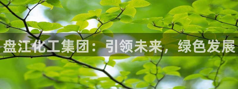 球盟会官网入口：盘江化工集团：引领未来，绿色发展