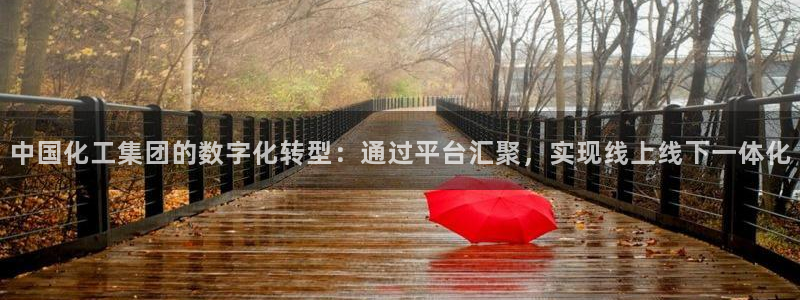 球盟会出款黑了：中国化工集团的数字化转型：通过平台汇聚，实现