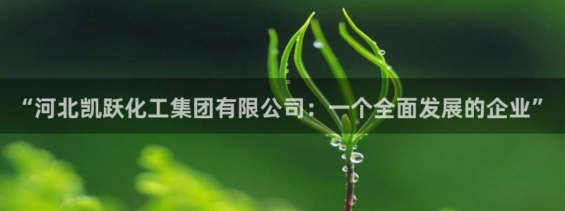 球盟会有没有黑单的球员：“河北凯跃化工集团有限公司：一个全面