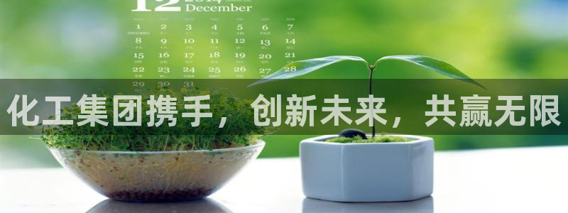 球盟会app手机登录：化工集团携手，创新未来，共赢无限