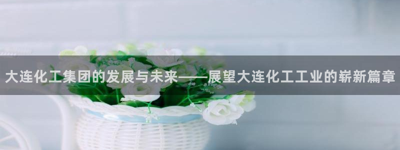 球盟会qmh网页版登录：大连化工集团的发展与未来——展望大连