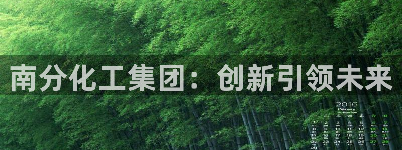 球盟会在线网站：南分化工集团：创新引领未来