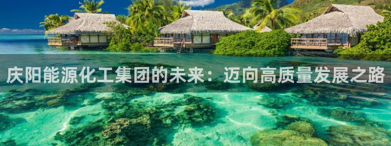 球盟会最新：庆阳能源化工集团的未来：迈向高质量发展之路