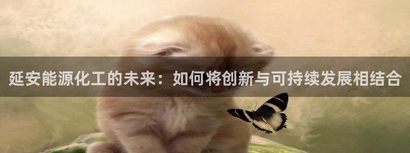 球盟会可以提现么现在：延安能源化工的未来：如何将创新与可持续