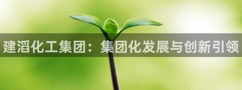 球盟会贴吧