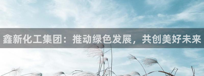 球盟会黑嘛：鑫新化工集团：推动绿色发展，