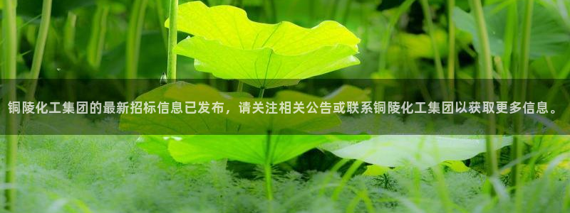 球盟会app网址多少：铜陵化工集团的最新招标信息已发布，请关