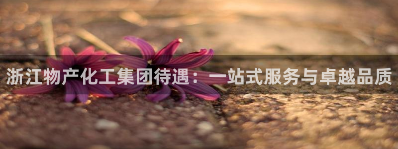 球盟会在线登录官网：浙江物产化工集团待遇：一站式服务与卓越品