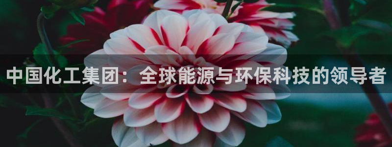 球盟会在线登录：中国化工集团：全球能源与