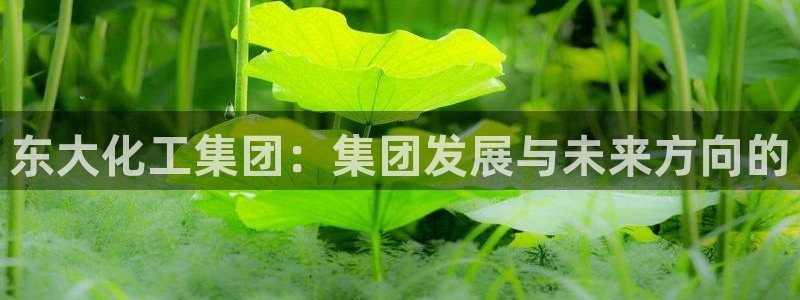 球盟会App：东大化工集团：集团发展与未来方向的