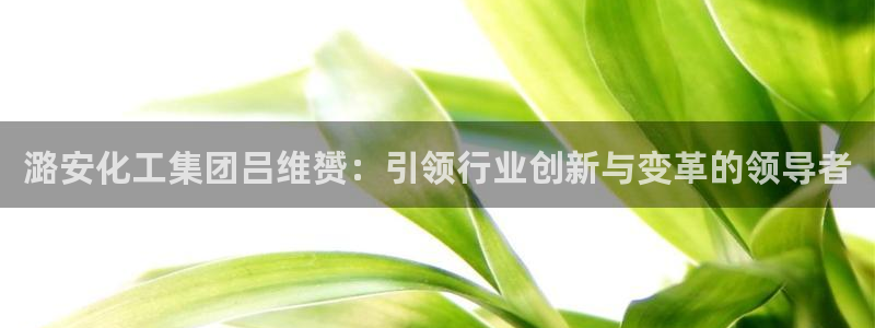 球盟会可以提现么是真的吗：潞安化工集团吕维赟：引领行业创新与
