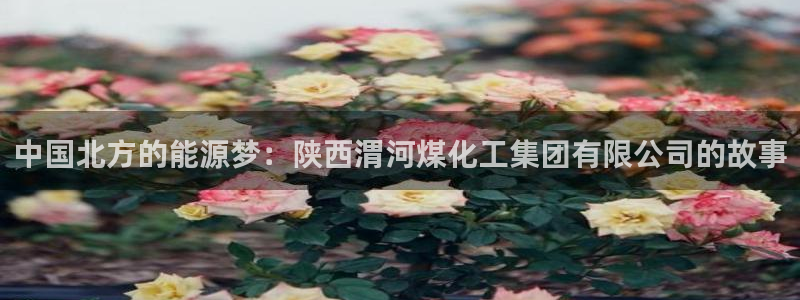 球盟会官方网站：中国北方的能源梦：陕西渭