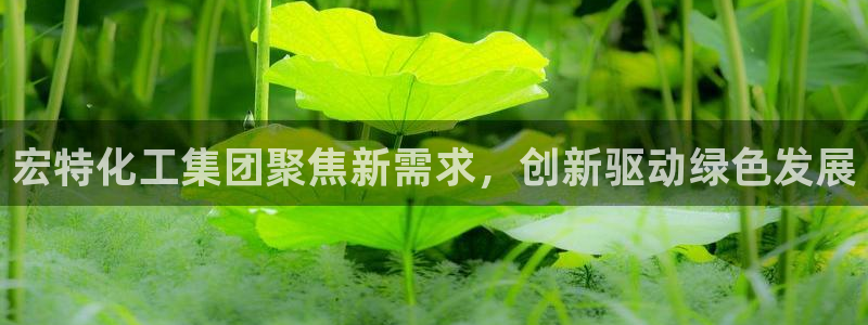 球盟会官方网页登录：宏特化工集团聚焦新需求，创新驱动绿色发展