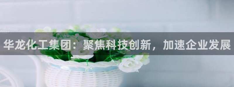 球盟会官方：华龙化工集团：聚焦科技创新，