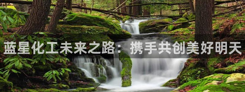 球盟会黑款吗：蓝星化工未来之路：携手共创美好明天