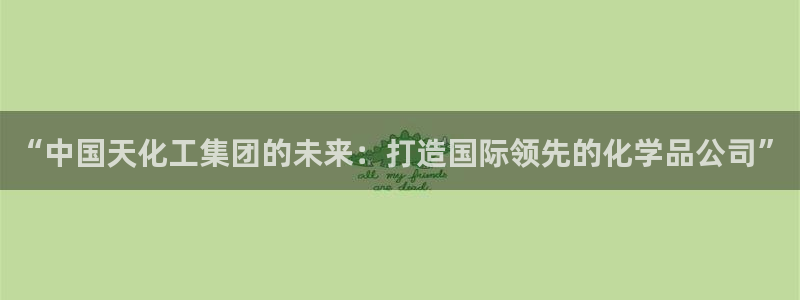 球盟会在线网站：“中国天化工集团的未来：打造国际领先的化学品