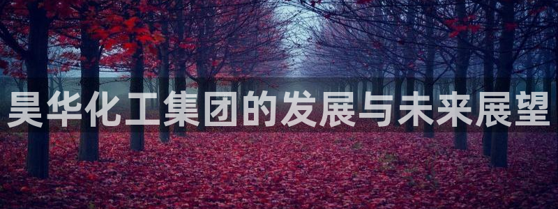 球盟会在线登入：昊华化工集团的发展与未来展望
