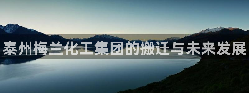 球盟会网页版：泰州梅兰化工集团的搬迁与未来发展