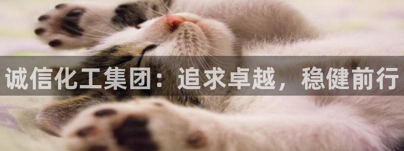 球盟会和中欧会的区别：诚信化工集团：追求卓越，稳健前行