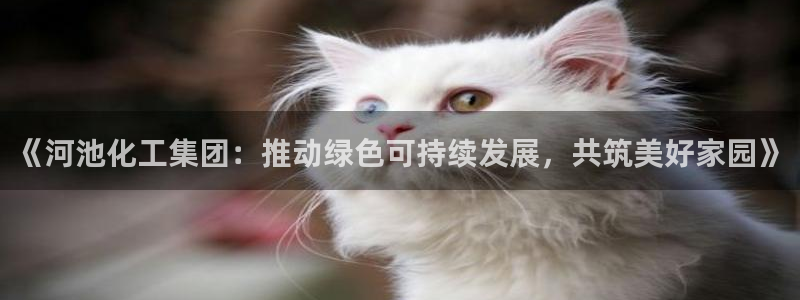球盟会官网入口：《河池化工集团：推动绿色可持续发展，共筑美好