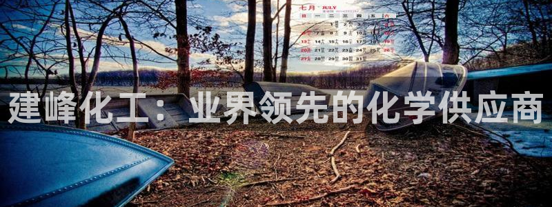 球盟会qmh官网：建峰化工：业界领先的化学供应商