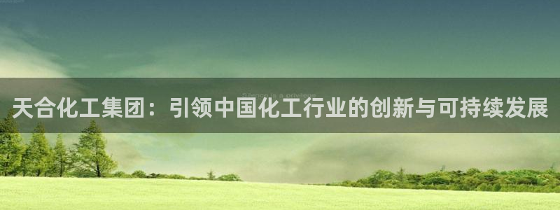 球盟会进不去吗：天合化工集团：引领中国化工行业的创新与可持续