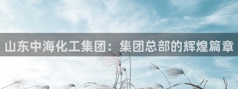 球盟会在线登录官网：山东中海化工集团：集团总部的辉煌篇章