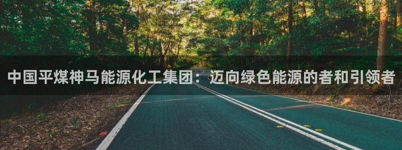 球盟会在线登入：中国平煤神马能源化工集团