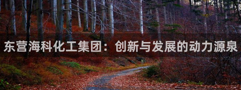 球盟会封号：东营海科化工集团：创新与发展