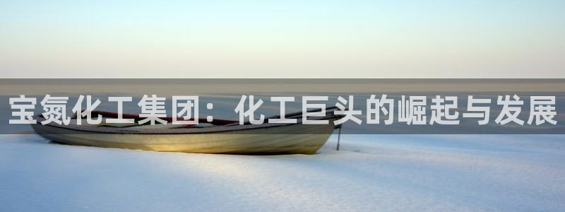 球盟会进不去吗