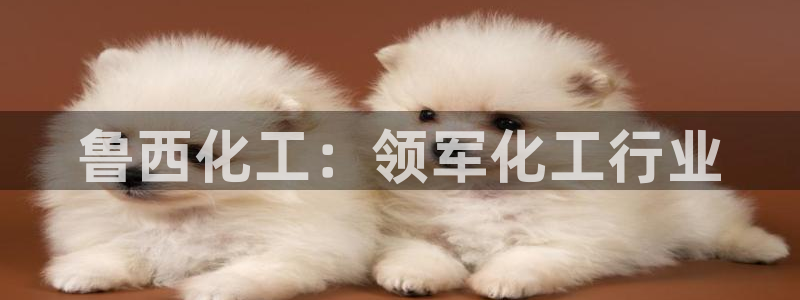 球盟会论坛：鲁西化工：领军化工行业