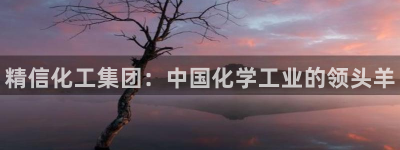 球盟会网页登录入口