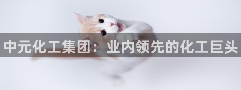 球盟会官方登录平台入口