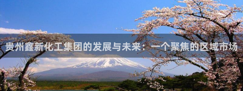 球盟会出款黑了：贵州鑫新化工集团的发展与未来：一个聚焦的区域