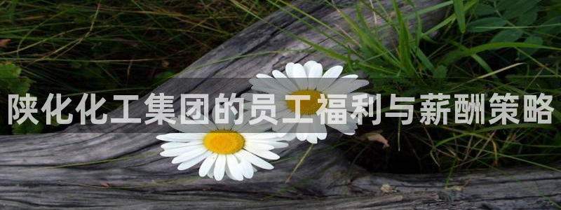 球盟会进不去吗：陕化化工集团的员工福利与薪酬策略