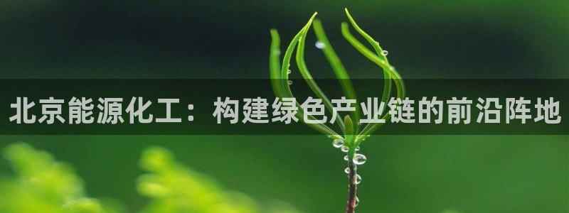 球盟会官方客服：北京能源化工：构建绿色产业链的前沿阵地