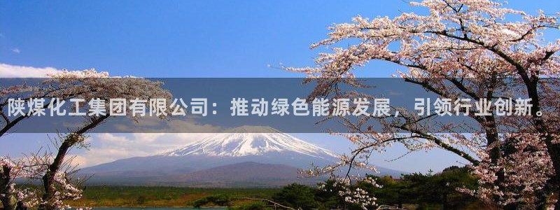 球盟会qmh - 球盟会官方网站：陕煤化工集团有限公司：推动