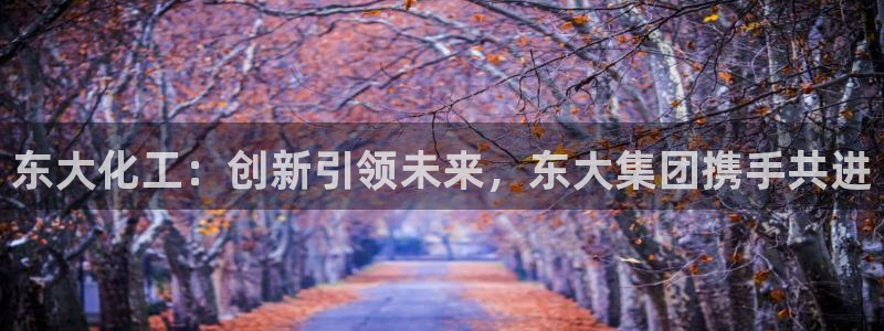 球盟会中国网页登录：东大化工：创新引领未来，东大集团携手共进